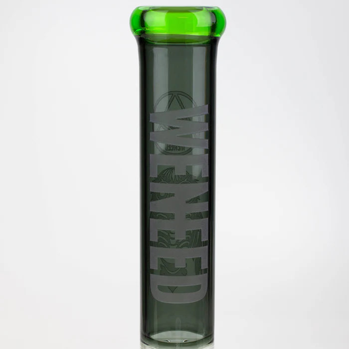 WENEED 15" - Glass Beaker - Water Pipe